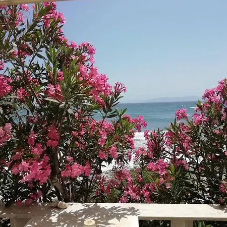 Сasa de vacaciones 