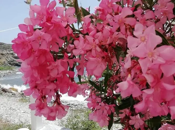 Σπίτι διακοπών 